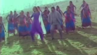 Pattamboochi - Prabhu, Suvalakshmi, Priya Raman - Ponmanam - Tamil Romantic Song (Tamil Video)