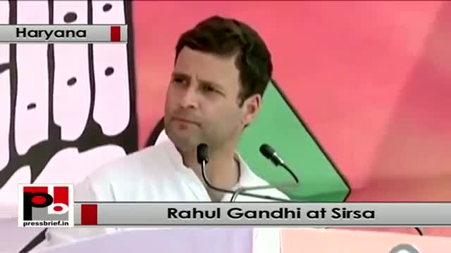 Rahul Gandhi : We discussed the issues and put it in our manifesto