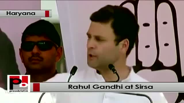 Rahul Gandhi : NDA talks about Gujarat model but we don't need it for Haryana