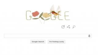 Google doodle marks Earth Day 2014 with Rufous Hummingbird