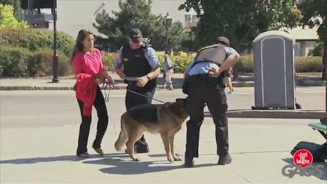 Just for Laughs Gags - Rabid Dog Mauls Cop's Crotch