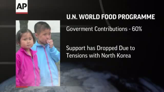UN Report: Food Aid to North Korea Dwindles