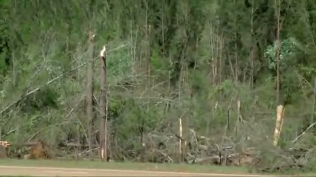 Early Report Shows EF-4 Tornado in Miss.