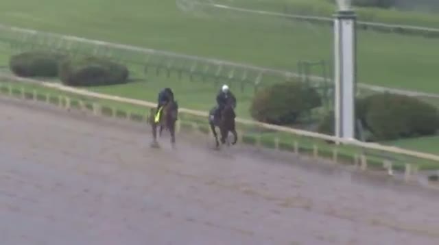 Contending Horse Out of Kentucky Derby