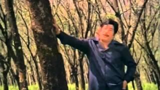 Nenjil Ulla Kayam - Sivaji Ganesan, K.R Vijaya - Rishimoolam - Tamil Classic Song