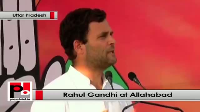 Rahul Gandhi : The hearts of BJP's leaders are filled with anger