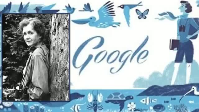 Rachel Louise Carson's 107th Birthday Google Doodle 2014