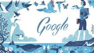 Google celebrates American marine biologist Rachel Louise Carson's 107th birthday with a doodle