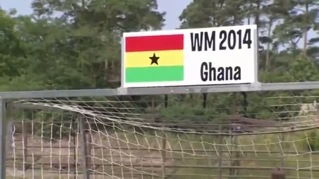 Elephant Predicts World Cup Matches