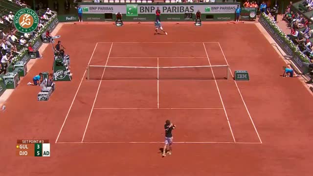 N. Djokovic v. E. Gulbis 2014 French Open Men's SF Highlights