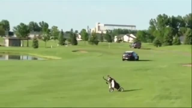 Police Chase Winds Up on ND Golf Course
