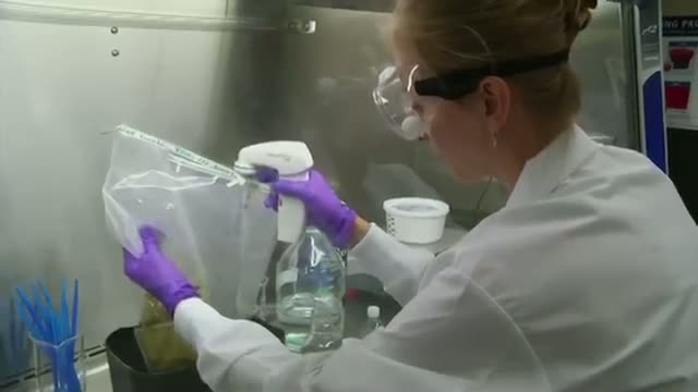 Poop Transplants Treat Superbug Infections