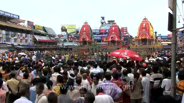 Ratha Yatra in Puri brings thousands into the streets to glorify Lord Jagannatha