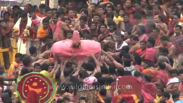 Enormous crowd witness the Chariot Festival of India - Rath Yatra