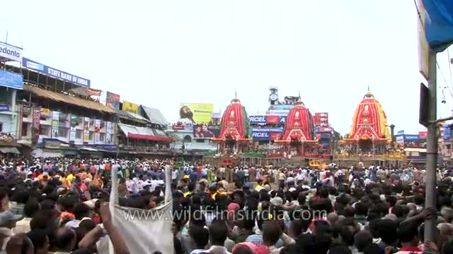 Celebration of 'Jagannath Rath Yatra' in the coastal city of Puri