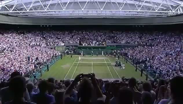 Novak Djokovic wins Wimbledon 2014