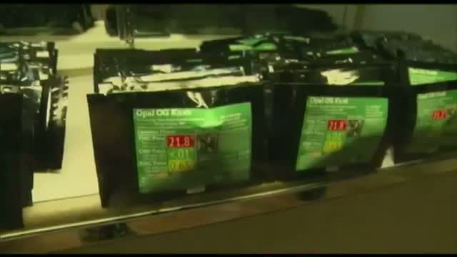 Washington State's First Legal Marijuana Sales