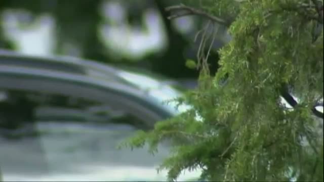 Connecticut Boy Dies Inside Parked Car