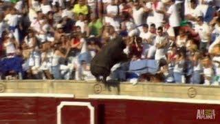Enraged Bull Leaps into Stands - World's Scariest Animal Attacks