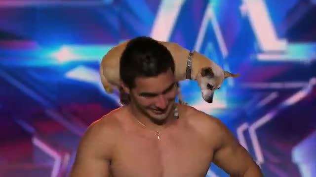 Christian Stoinev: Hand Balancer Adds Cute Dog to Act - America's Got Talent 2014