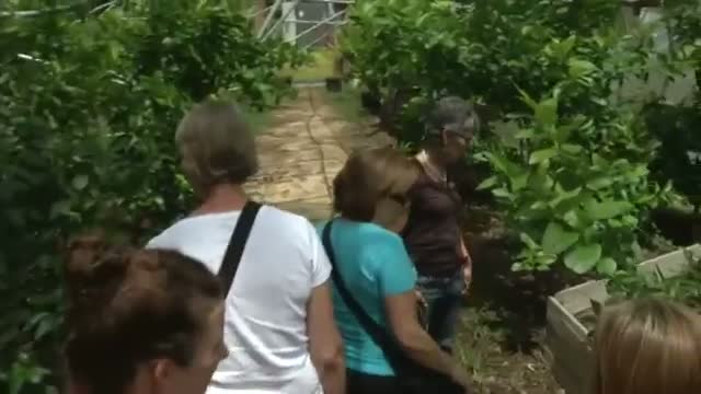 Agritourism a Boon for Small Farms