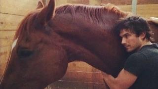 Ian Somerhalder and Nikki Reed Adopt a Horse