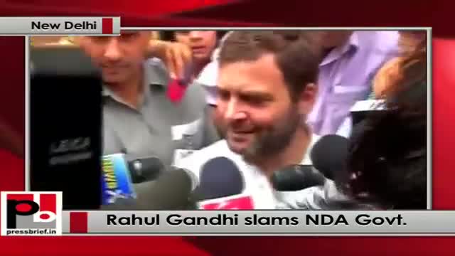 Rahul Gandhi: Only one man's voice counts for anything in this country