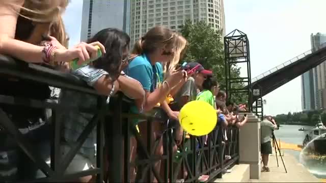 Chicago's Duck Derby Boosts Special Olympics
