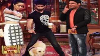 Shahid Kapoor & Shraddha Kapoor on Comedy Nights with Kapil 24th August 2014 episode | Haider