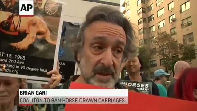 Activists Urge NYC Mayor to Ban Carriage Horses