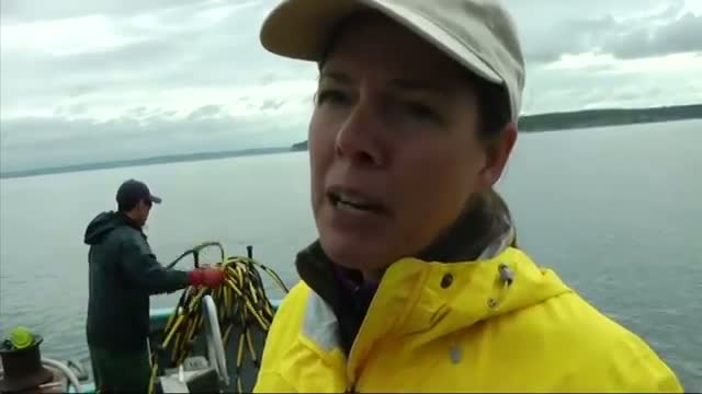In Washington Waters, Diving for Lost Crab Pots