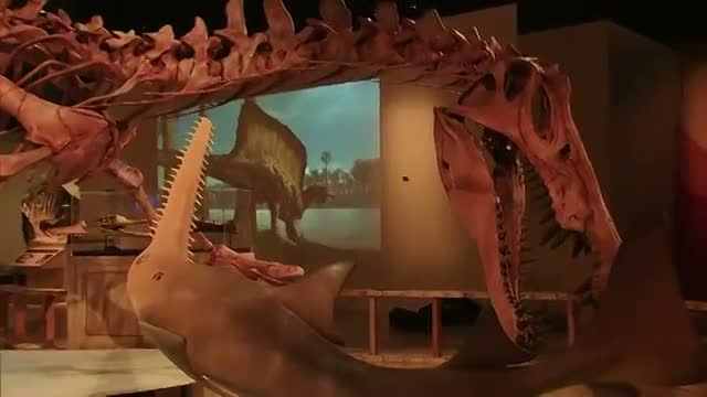 NatGeo Unveils Life-size 'Spinosaurus'