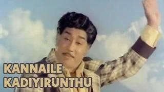 Kannaile Kadiyirunthu - Best of T.M.Soundararajan Duets - Classic Tamil Song - Imayam