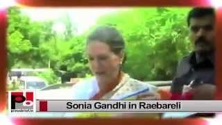 Sonia Gandhi slams NDA govt, says Modi sold fake dreams to Indians