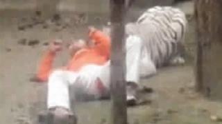 White Tiger Kills Man Student At Delhi Zoo (VIDEO) Boy Mauled To Death By Tiger