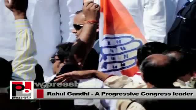 Congress Vice President Rahul Gandhi slams Narendra Modi and NDA govt