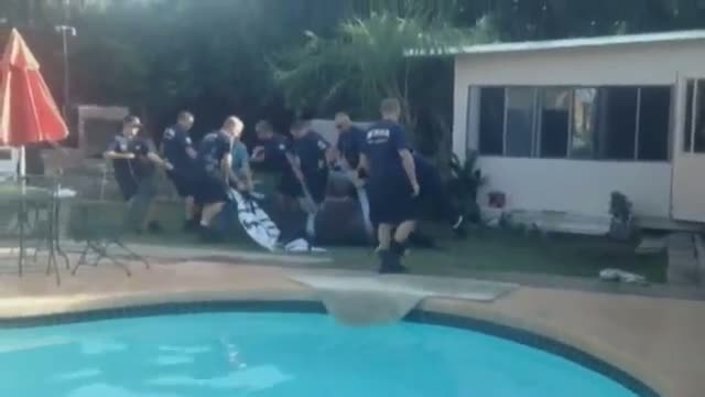 Firefighters Rescue Horse From Pool