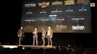 Robert Downey Jr and Chris Evans introduce Chadwick Boseman as Black Panther!