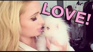 Paris Hilton's New Dog Makes Other Dogs Jealous