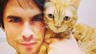 Find Out Who Ian Somerholder Wants You to Adopt!