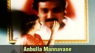 Anbulla Mannavane - Karthik, Nagma - Mettukudi - Tamil Romantic Song