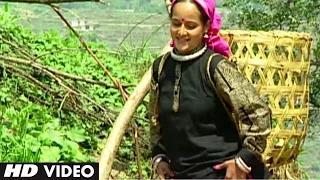 Jikudi Dhadak Dhadak Kadi (Garhwali Video Song) | Nayu Nayu Byo Ch | Narendra Singh Negi, Anuradha Nirala