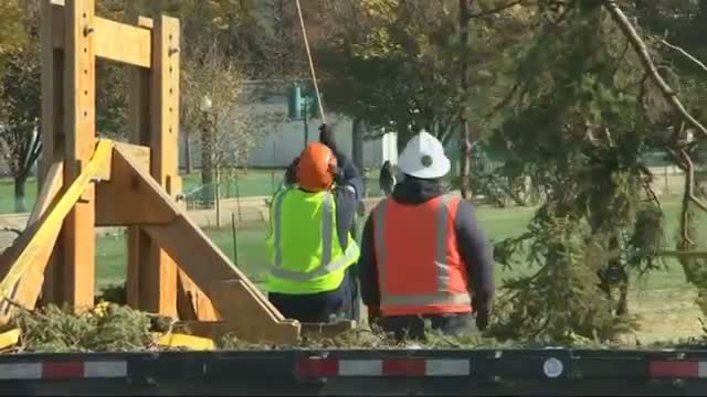Capitol Christmas Tree Arrives in DC
