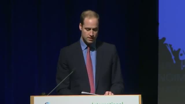 Prince William to Lead Wildlife Trade Task Force Video