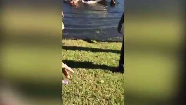 92-year Old Man Rescued From Submerged Car Video
