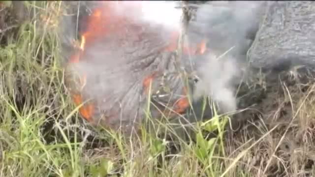 Lava on Track to Hit Hawaii Market Video