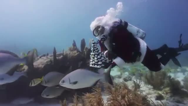 Scuba Diving Santa Off Florida Keys Video