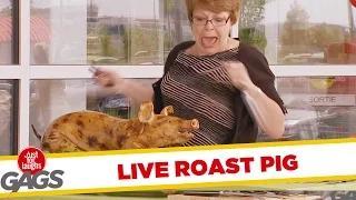 Roast Pig Comes to Life (Funny Video)
