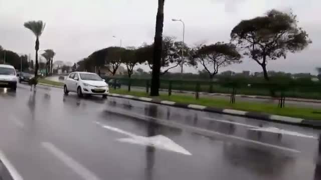Emu Runs Through Traffic in Israel Video