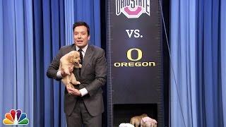 Puppies Predict the 2015 College Football National Championship